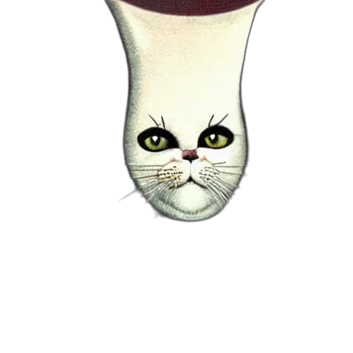 hat, shoes, staff, mask transparent PNG cut-out