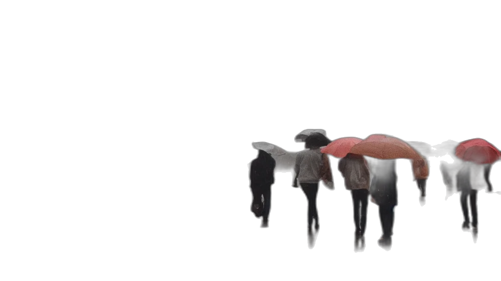 umbrella, furniture, hat, hair transparent PNG cut-out