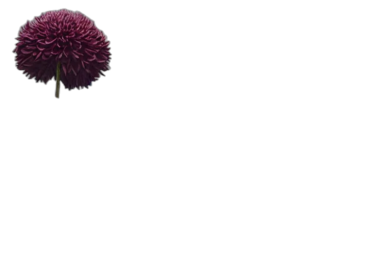 hat, hair, umbrella, staff transparent PNG cut-out