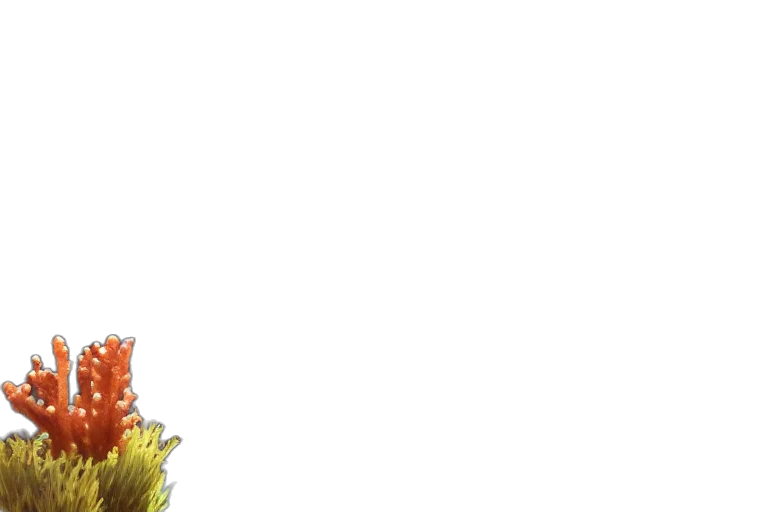 staff, flower, dragon, crown transparent PNG cut-out