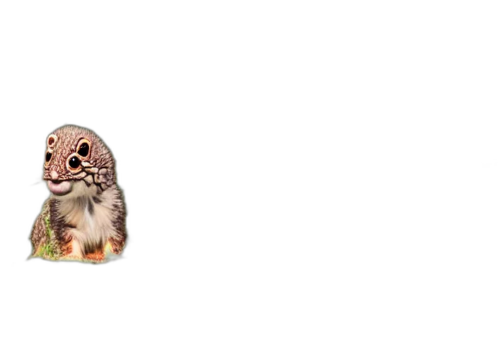 animal, creature, face, hair transparent PNG cut-out