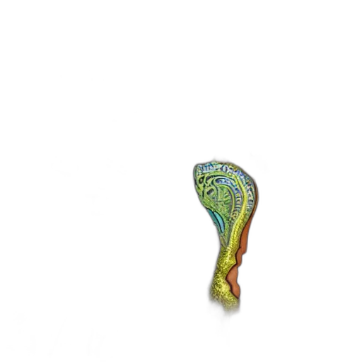 shoes, flower, jewelry, umbrella transparent PNG cut-out