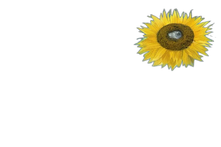 flower, crown, mask, dress transparent PNG cut-out