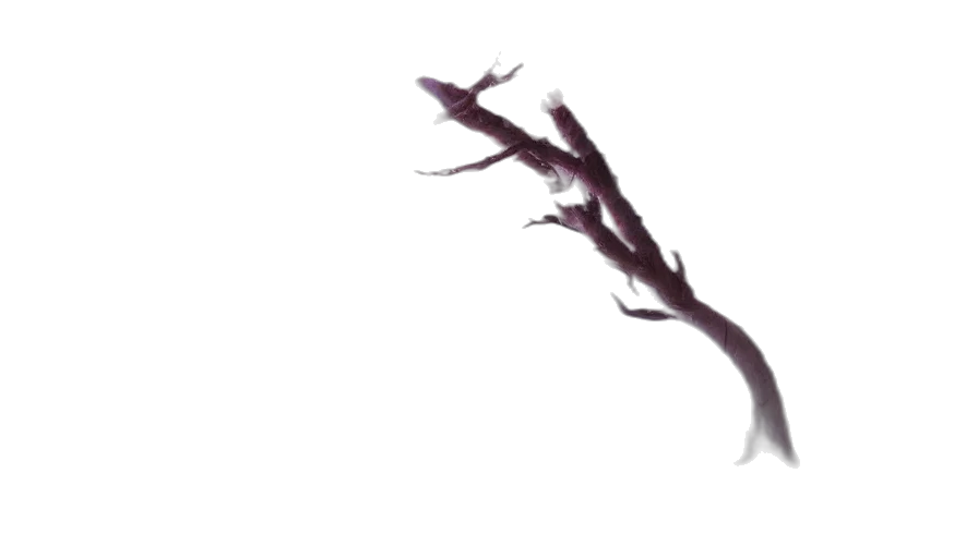 staff, tree, sword, crown transparent PNG cut-out