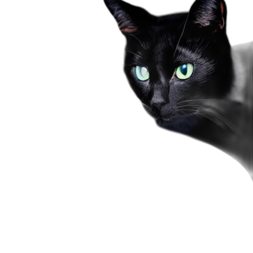 animal, creature, staff, face transparent PNG cut-out