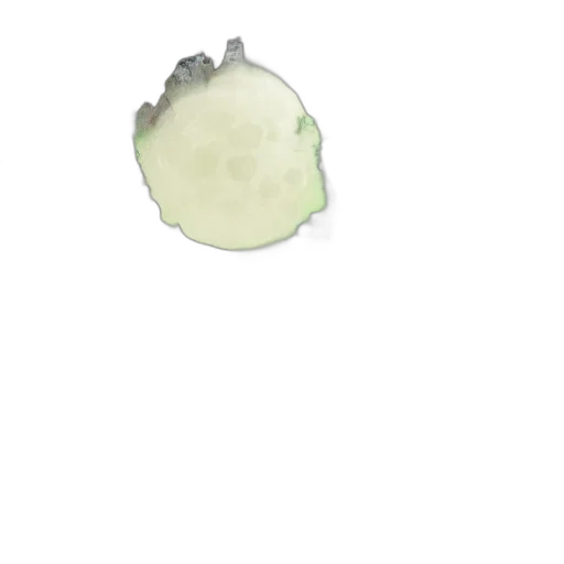 food, crown, hair, creature transparent PNG cut-out