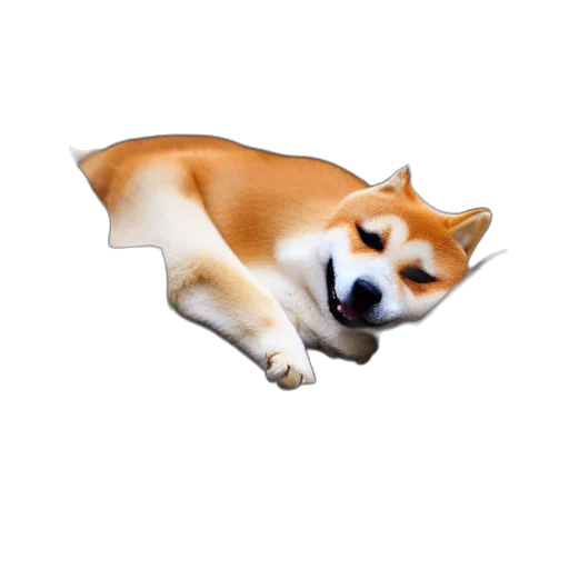 animal, staff, creature, food transparent PNG cut-out