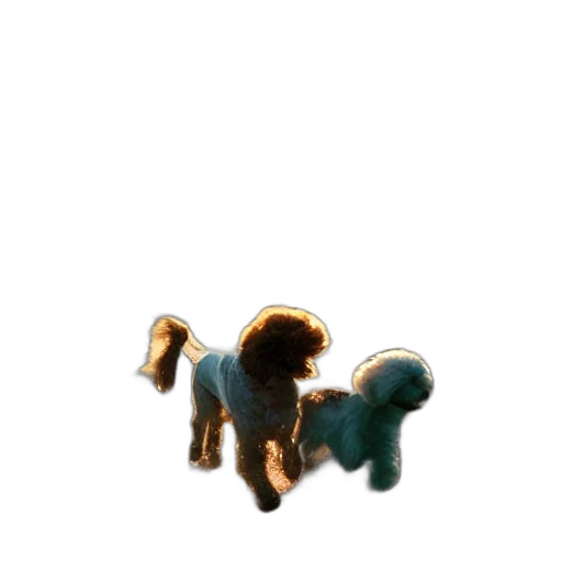 animal, creature, staff, jewelry transparent PNG cut-out