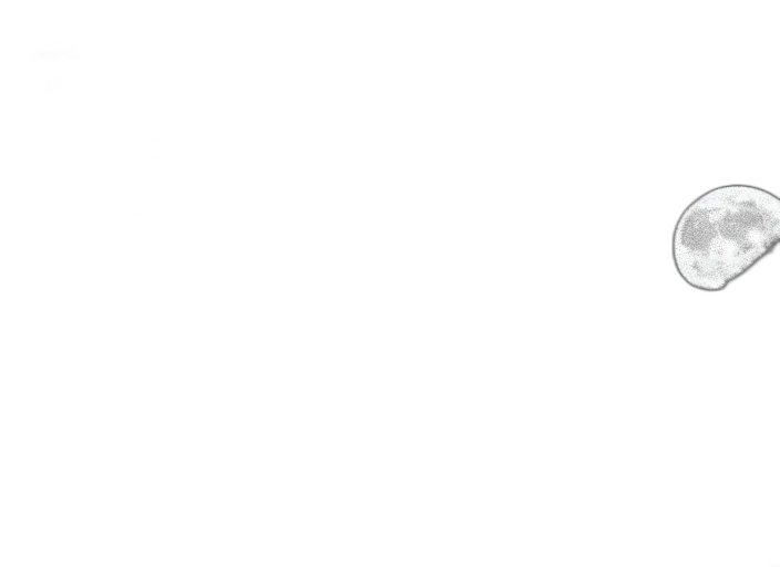 staff, monochrome, vintage, photo transparent PNG cut-out
