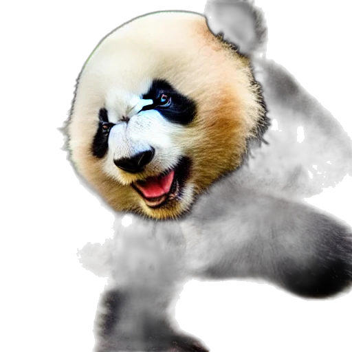 animal, creature, mask, face transparent PNG cut-out