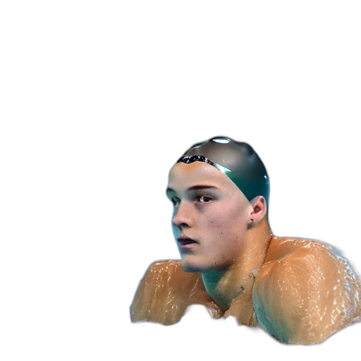 creature, animal, hair, face transparent PNG cut-out