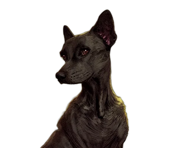 staff, animal, creature, face transparent PNG cut-out