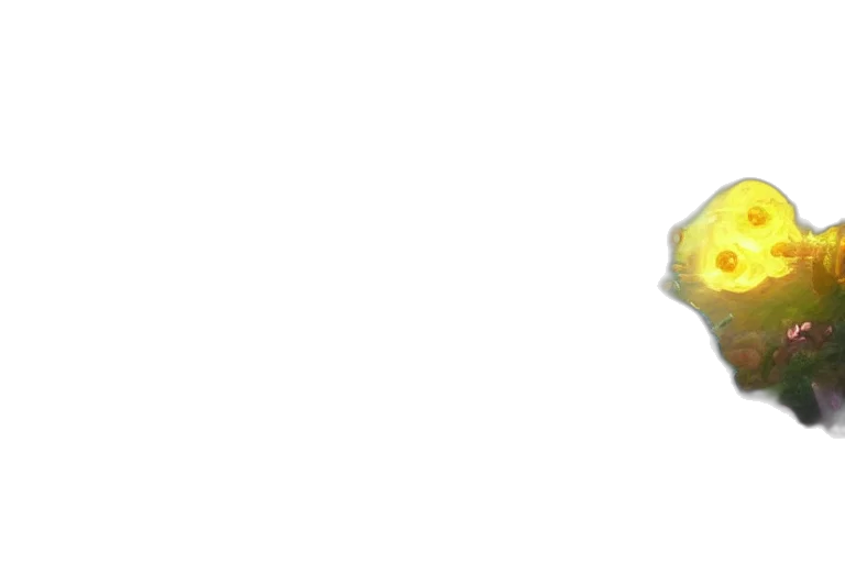 flower, food, staff, weapon transparent PNG cut-out