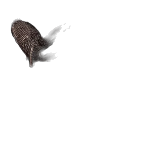 animal, creature, hair, hat transparent PNG cut-out