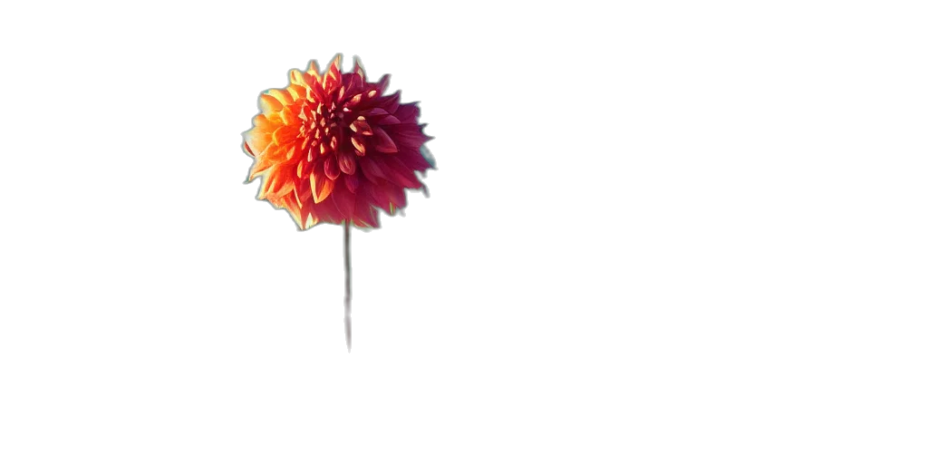 flower, umbrella, staff, crown transparent PNG cut-out