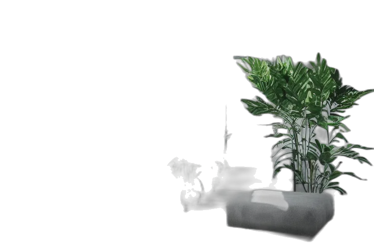 furniture, crown, tree, flower transparent PNG cut-out
