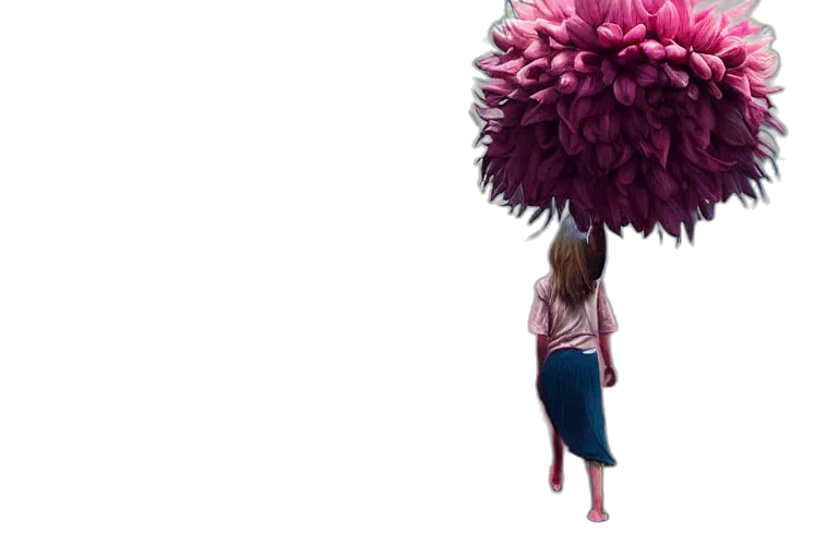 umbrella, flower, tree, hair transparent PNG cut-out