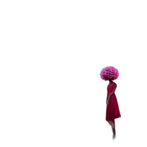 flower, hat, umbrella, crown transparent PNG cut-out