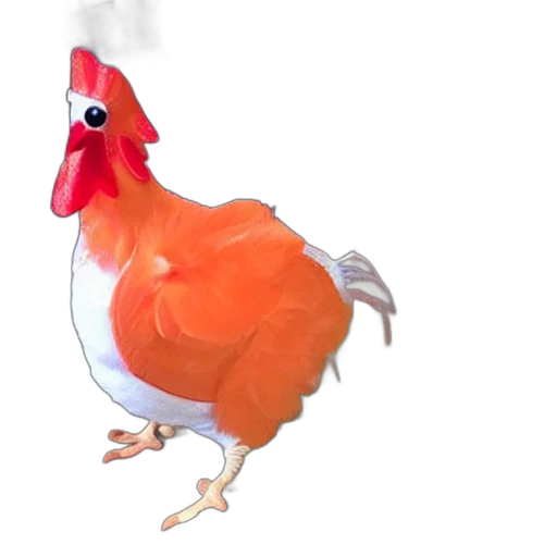 animal, food, dress, weapon transparent PNG cut-out