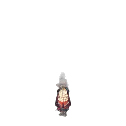 dress, creature, umbrella, bottle transparent PNG cut-out