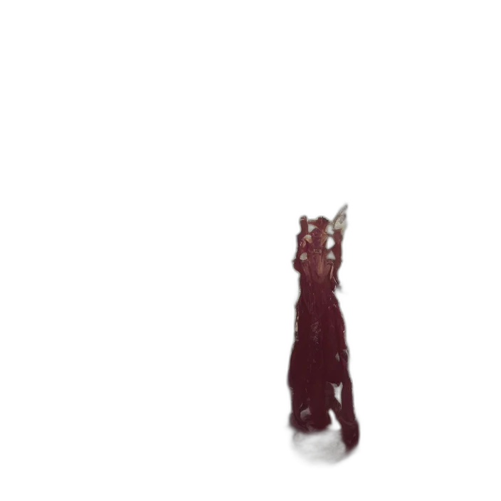 hair, dress, staff, crown transparent PNG cut-out