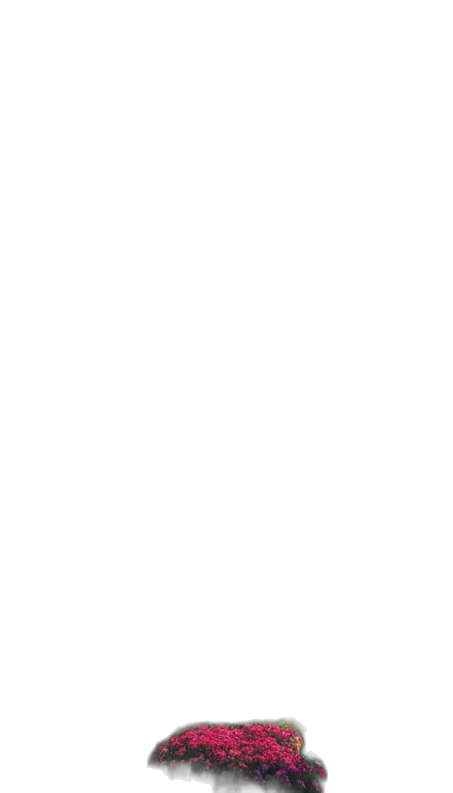 staff, face, monochrome, pastel transparent PNG cut-out