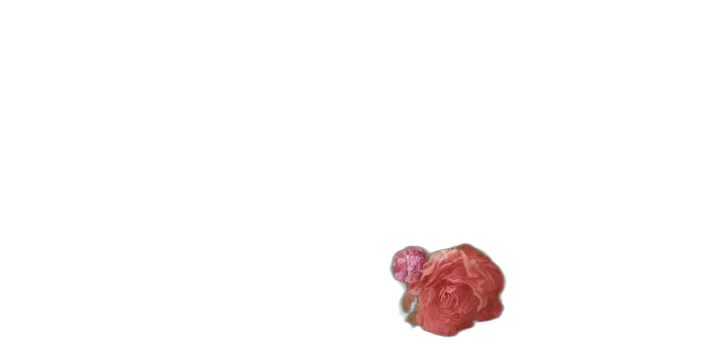 food, flower, jewelry, crown transparent PNG cut-out