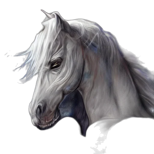 dragon, creature, animal, face transparent PNG cut-out