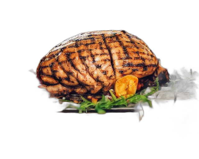 food, hat, animal, jacket transparent PNG cut-out