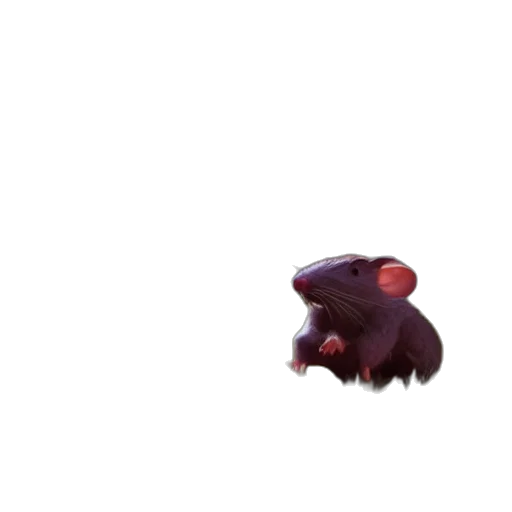 animal, creature, hat, weapon transparent PNG cut-out
