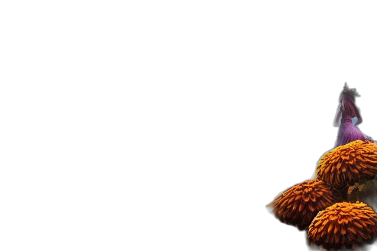 hat, staff, animal, hair transparent PNG cut-out