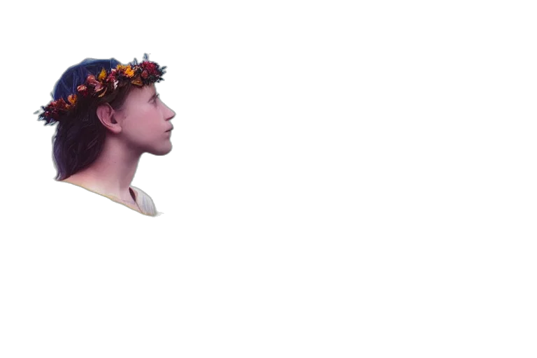 crown, face, flower, hat transparent PNG cut-out