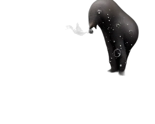 animal, creature, mask, umbrella transparent PNG cut-out