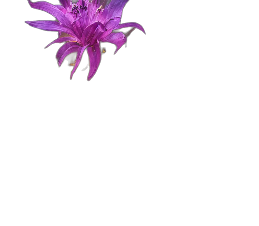flower, crown, dragon, weapon transparent PNG cut-out
