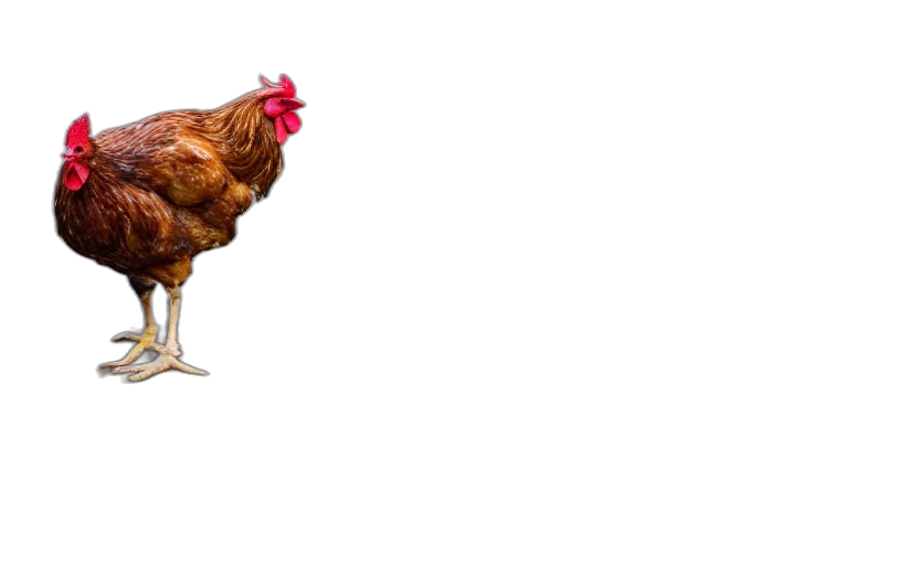 animal, food, dress, weapon transparent PNG cut-out