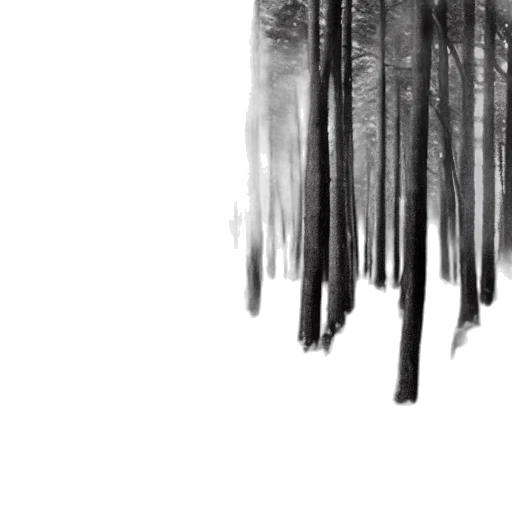 tree, hair, sword, creature transparent PNG cut-out