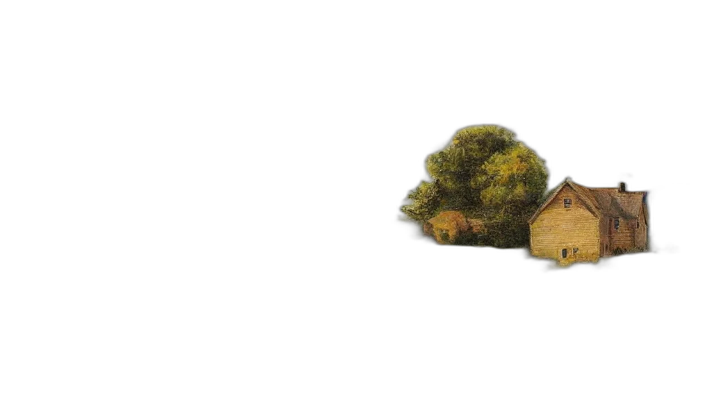 tree, hat, crown, hair transparent PNG cut-out