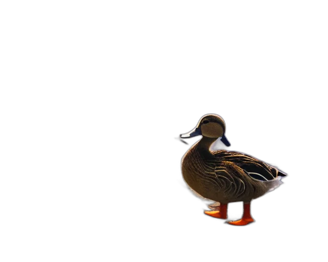 animal, creature, food, weapon transparent PNG cut-out