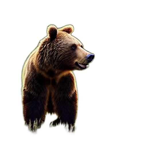 animal, creature, face, staff transparent PNG cut-out