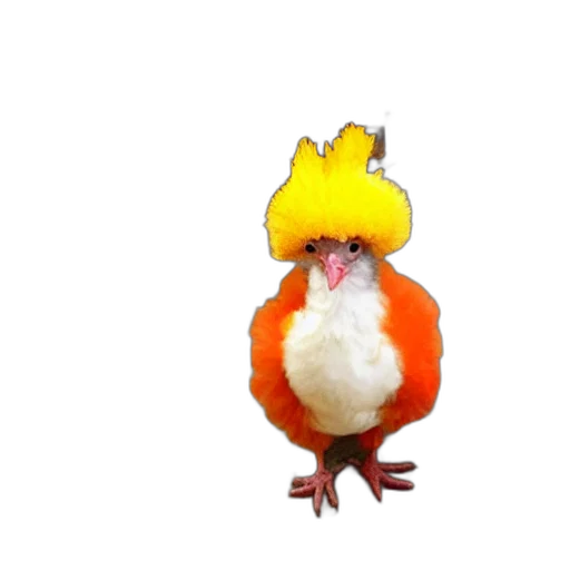 animal, crown, hat, staff transparent PNG cut-out