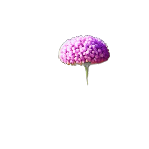 flower, umbrella, crown, hat transparent PNG cut-out