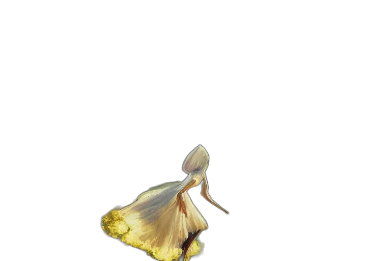 dress, flower, shoes, crown transparent PNG cut-out