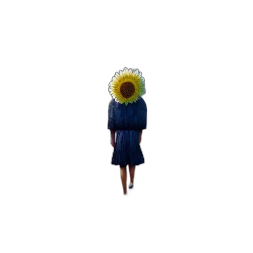 dress, flower, jacket, staff transparent PNG cut-out