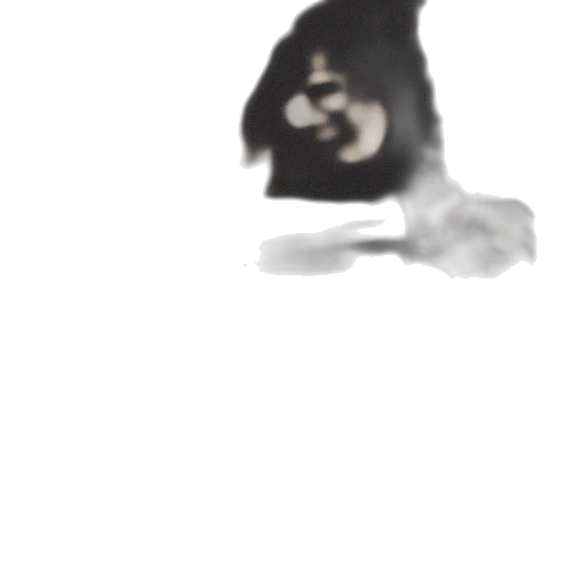 dragon, mask, animal, food transparent PNG cut-out