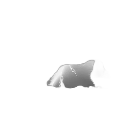 animal, hat, mask, creature transparent PNG cut-out