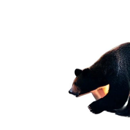animal, creature, staff, weapon transparent PNG cut-out