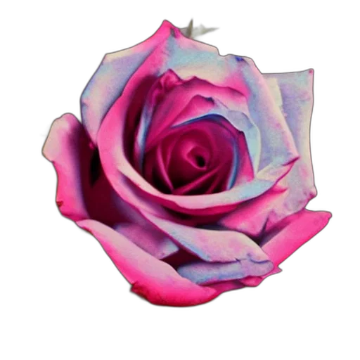 flower, jewelry, crown, face transparent PNG cut-out