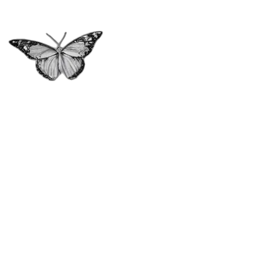 animal, creature, flower, jewelry transparent PNG cut-out