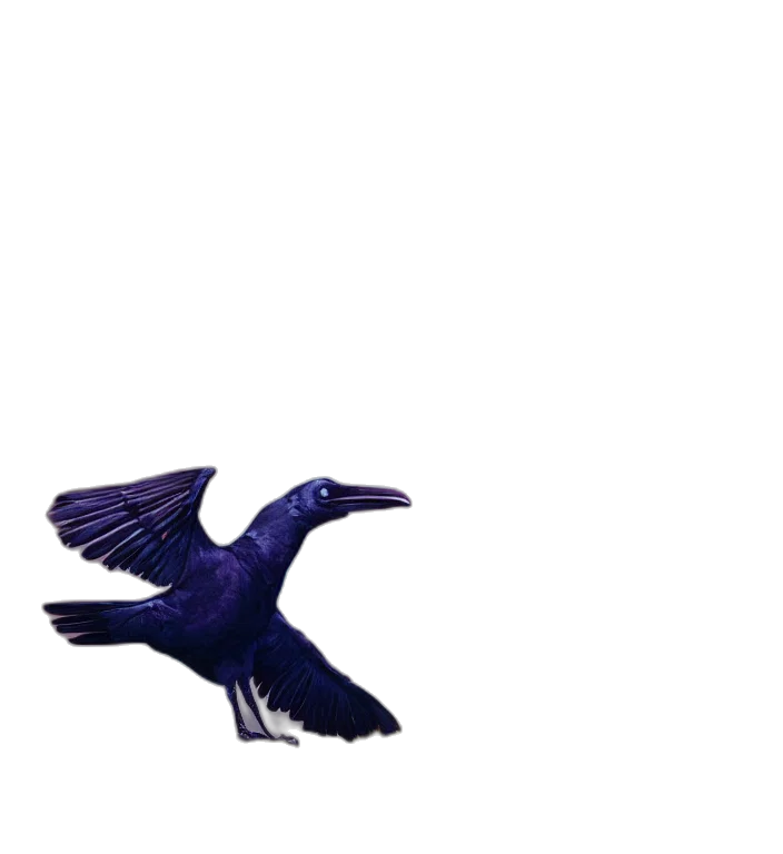 animal, dragon, creature, umbrella transparent PNG cut-out
