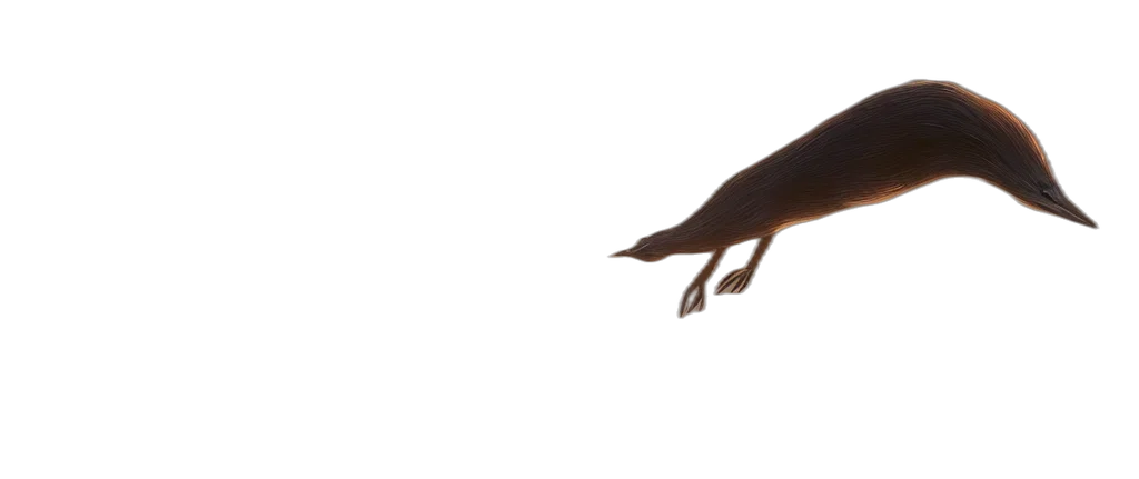 animal, creature, dragon, shoes transparent PNG cut-out